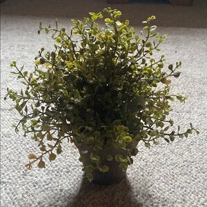 Artificial Eucalyptus Greenery Plant in Black Pot